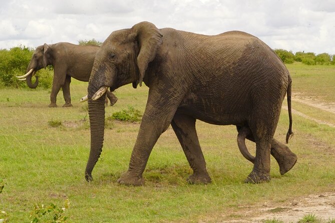 4-Day Private Tour in Masai Mara - Booking and Cancellation