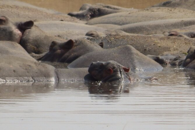 4-Day Safari From Arusha: Tarangire, Serengeti and Ngorongoro - Pricing and Payment Options