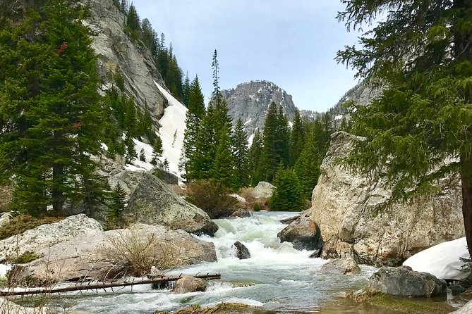 4-Day Small Group Tour: Yellowstone and Tetons Camping From Salt Lake City - Pricing and Booking Details