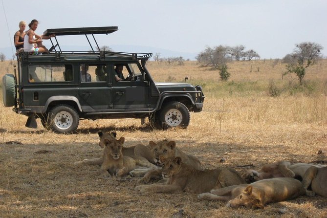 4-Day Tanzania Camping Safari to Lake Manyara, Serengeti, and Ngorongoro Crater - Experiences and Amenities