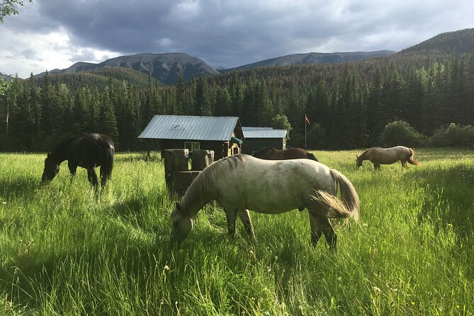 4 Day West Range Cabin Vacations in the Alberta Rocky Mountains - Availability and Scheduling