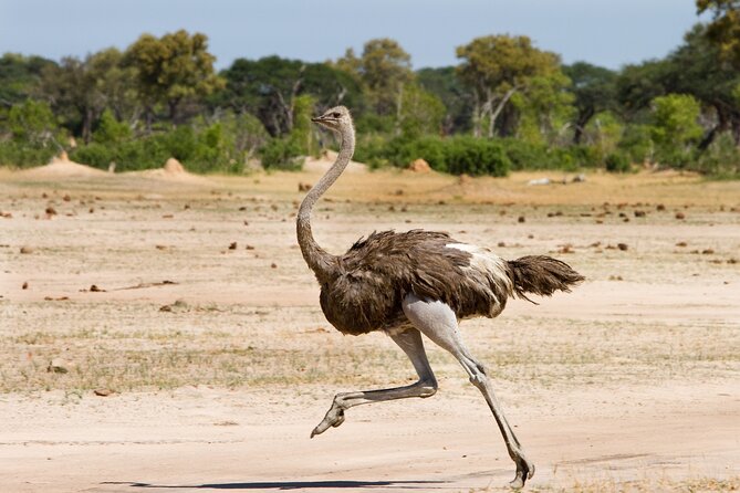 4 Days 3 Nights Safari- Tarangire, Serengeti and Ngorongoro Crater - Accommodation and Meals