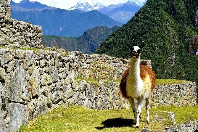 4 Days and 3 Nights Private Trekking Through the Inca Trail - Itinerary and Highlights