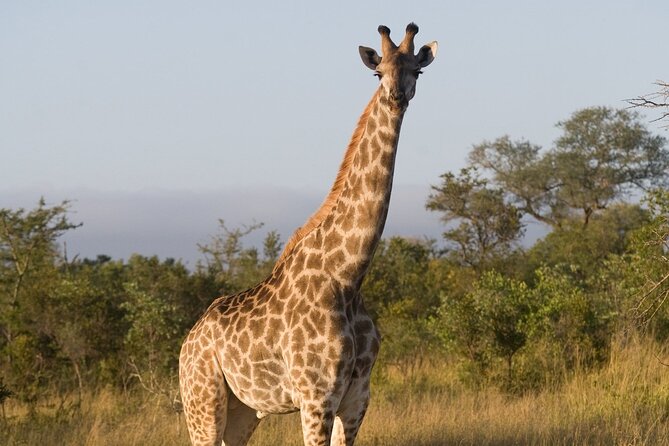 4 Days - Lake Manyara, Serengeti and Ngorongoro Crater - Health and Accessibility