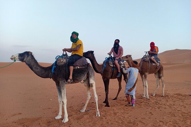 4 Days Marrakech to Merzouga Desert - Meals Included