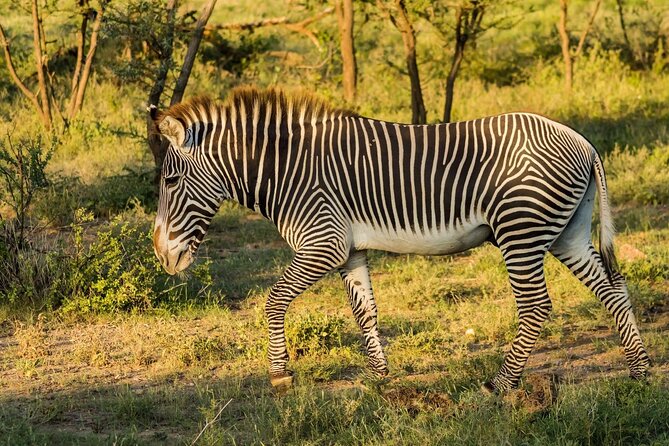 4 Days Mid Luxury Safari, Lake Nakuru and Masai Mara. - Frequently Asked Questions