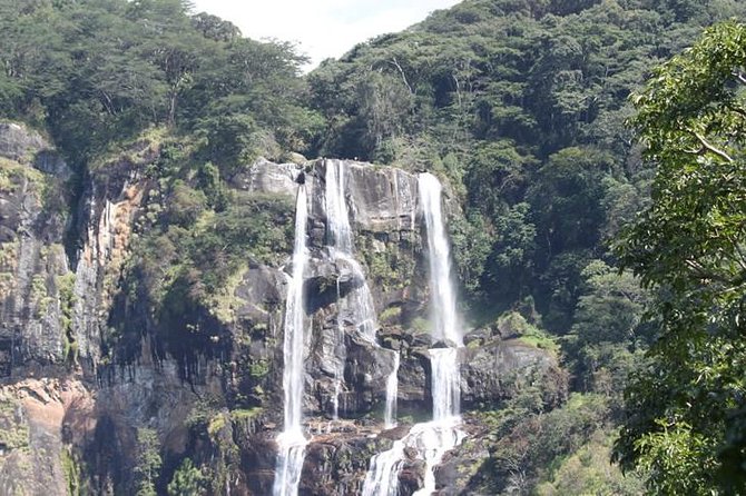 4 Days Mikumi & Udzungwa National Parks Safari - Cancellation Policy