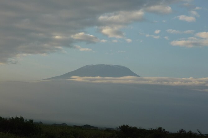 4 Days Safari to Amboseli N/P, Tsavo East N/P. - Reviews and Ratings