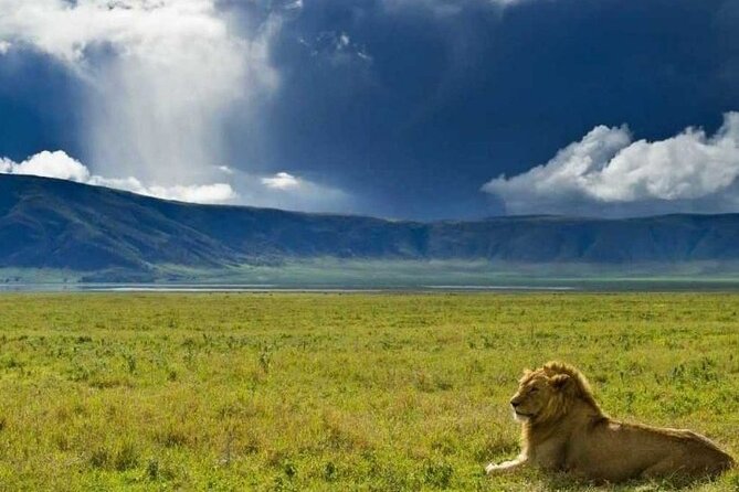 4 Days Tanzania Camping Safari - Important Considerations