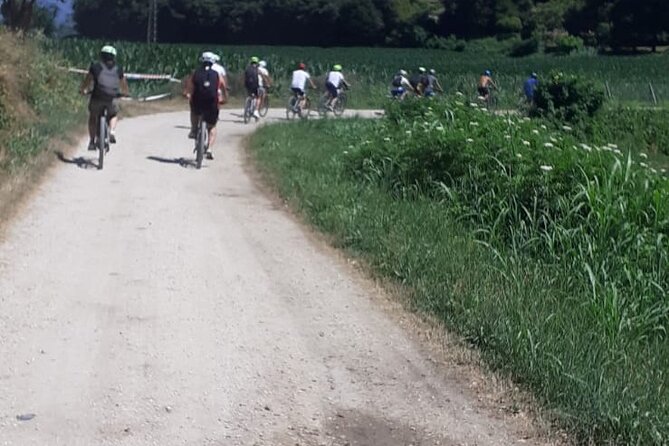 4-Hour Guided E-bike Tour of the Two Wineries in Bardolino - Group Size and Experience