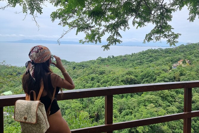 4-Hour Jungle Hike and Waterfall Swim - Traveler Reviews and Feedback