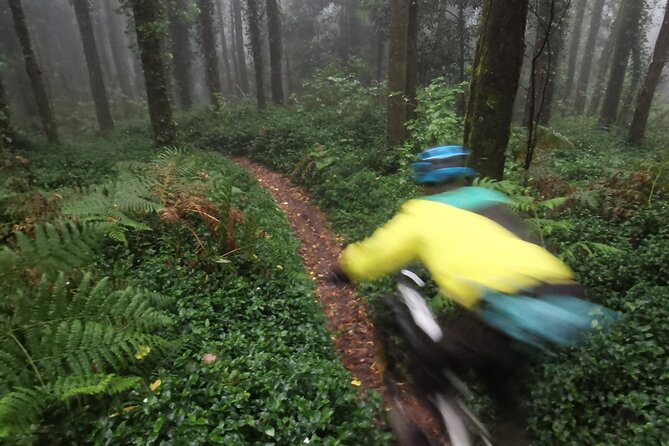 4 Hour Private MTB Enduro Trail Tour in Sintra Mountain - Customer Support and Assistance