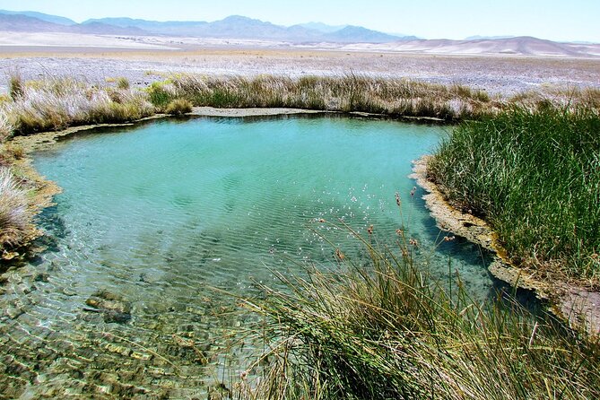 4-Hour Private Tour in Hidden Hot Springs Outside Death Valley - Things To Known