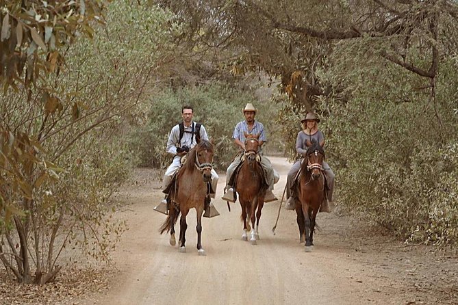 4-Hours Horse Riding, Inca Pyramids in Worlds Largest Dry Forest - Operator Information