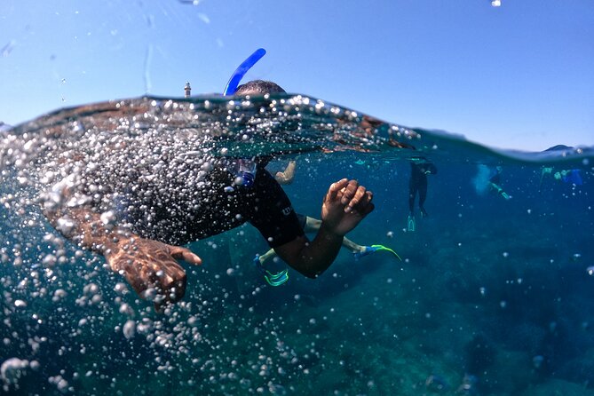 4 Hours Snorkeling Activities Villasimius Isola Dei Cavoli - Equipment Rental and Comfort