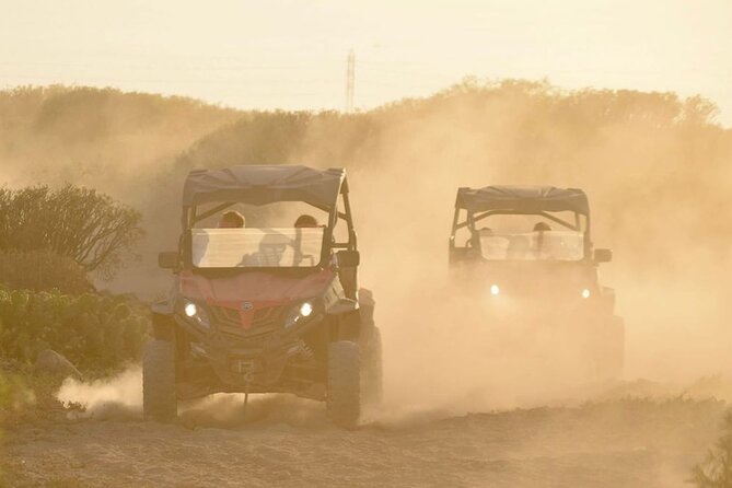 40% Off-Road Buggy Tour in Tenerife - 2 Hours - Price and Payment Options