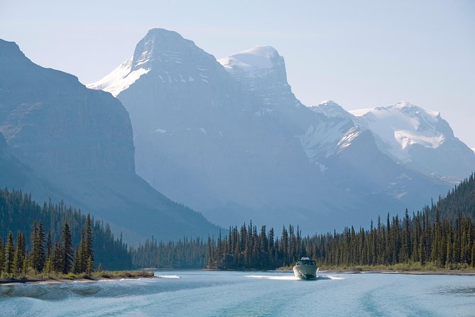 5.5-Hour Jasper Wildlife and Waterfalls Tour With Maligne Lake Cruise From Jasper - Wildlife Sightings