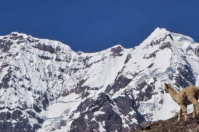 5-Day 4-Night Ausangate Trek From Cusco, Peru - Booking Considerations
