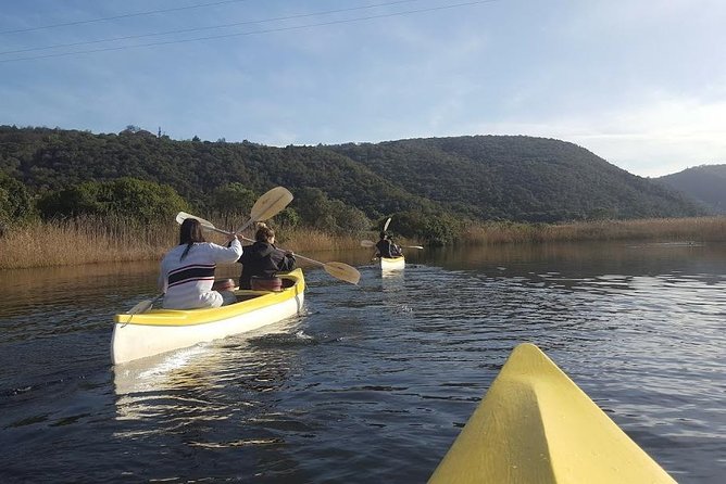 5 Day Cape to Addo Safari - Garden Route Small Group Tour - Pickup and Meeting Details