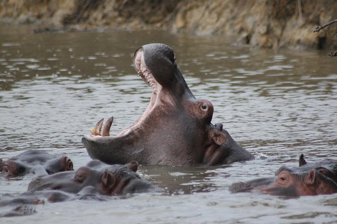 5 Day Kruger National Park Tour - Accommodation and Amenities