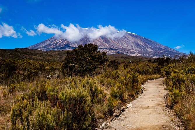 5 Day Mount Kilimanjaro Climbing via Marangu Route - Frequently Asked Questions