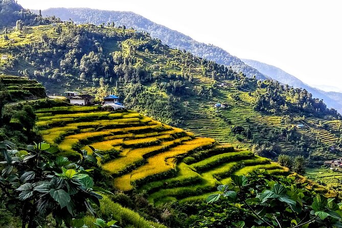 5-Day Private Farming Experience in Nayapul With Accommodation - Customer Reviews and Ratings