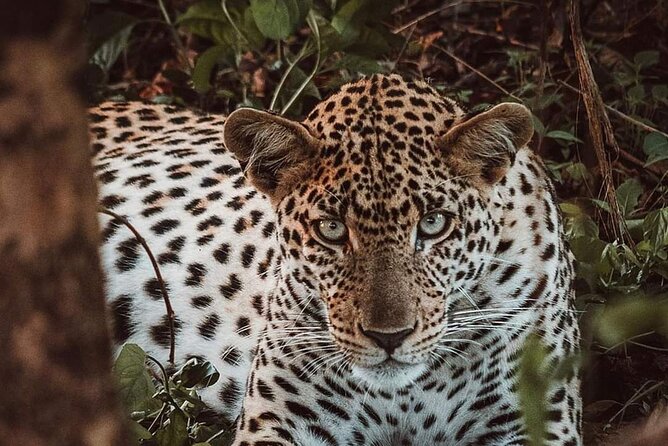 5-Day Tanzania Camping Safari - Exclusions and Additional Costs