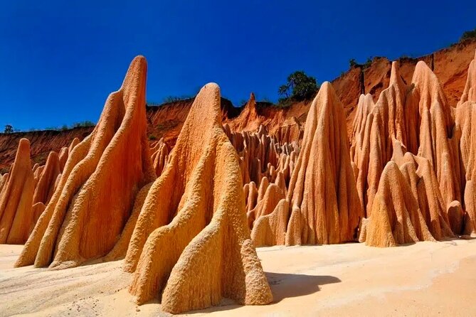 5-Day Tour to Discover the North of Madagascar - Pricing and Cancellation Policy