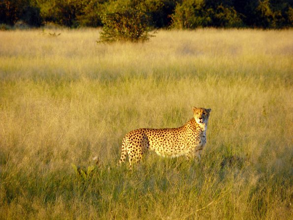 5 Day Victoria Falls and Chobe National Park Camping Tour - What to Pack