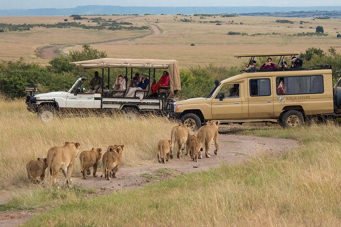 5 Days/4 Nights Kenya Safari - Cultural Experiences