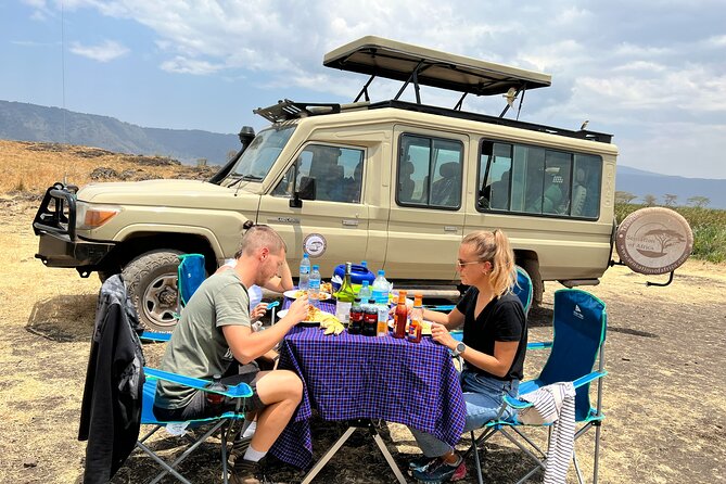 5 Days Big Five Tanzania Safaris - Serengeti, Ngorongoro Crater & Tarangire - Traveler Accessibility Options