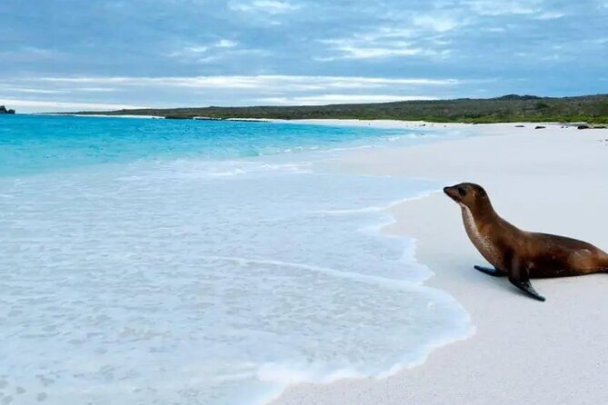 5 Days Galapagos Wildlife Discovery - Questions About Your Stay