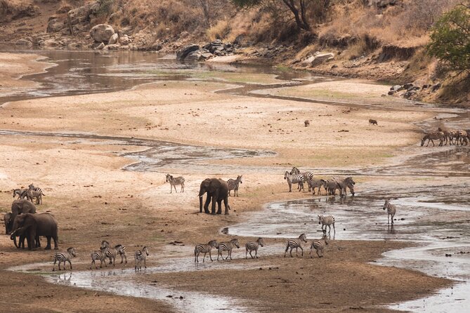 5-Days Private Midrange Safari: Serengeti, Ngorongoro & Manyara - Accessibility Information