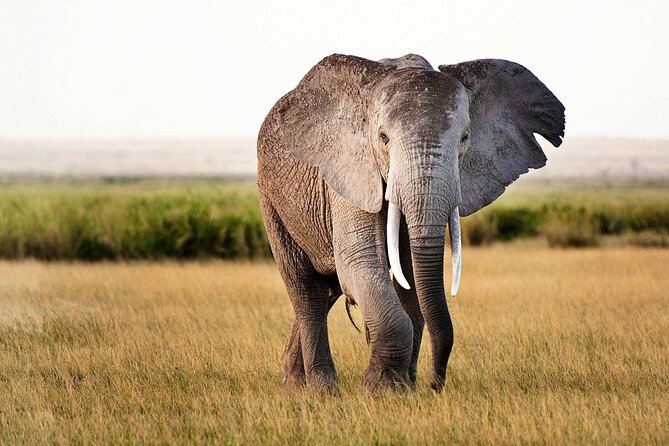 5 Days Tanzania Luxury Lodge Private Safari - Pricing Details