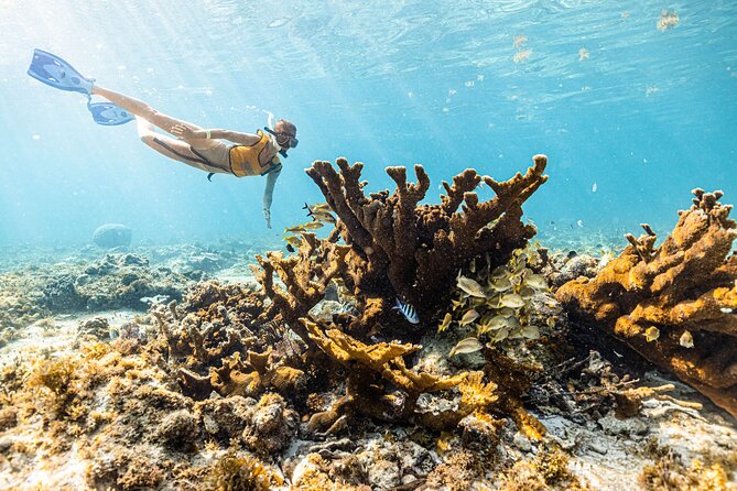 5-in-1 Cancun Adventure: Turtles, Reef, Musa, Shipwreck, Cenote - Safety Considerations