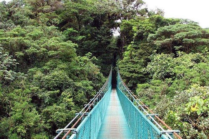 5-In-1 Monteverde Cloud Forest Experience With Ziplining and Hanging Bridges - Guest Feedback and Response