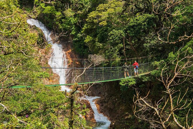 5 in 1 Sloth, Rainforest, Waterfalls, Hanging Bridges, Volcanic Activity Tour. - Exploring the Sloth Habitat