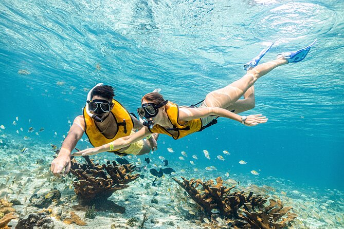 5 in 1 Snorkeling Boat Experience in Cancun - Customer Feedback
