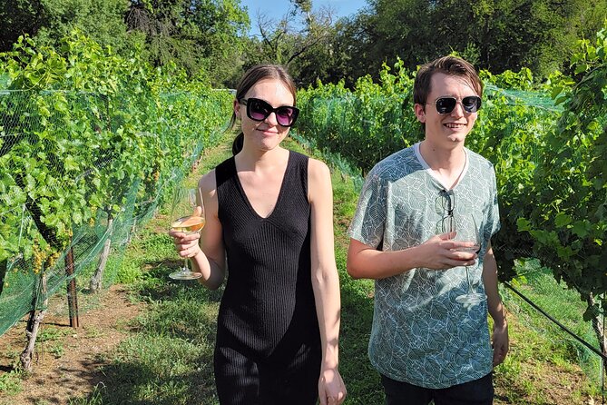 5 Star, Private Wine Tour, BEST in Town, TASTINGS INCLUDED! - Accessibility Options