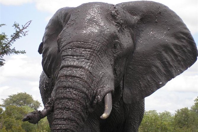 5Days Blyde River Canyon and Kruger National Park Overnight Tour and Safaris - Inclusions and Exclusions