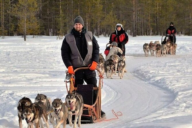 5KM Husky Sled Ride From Levi - Pricing Information
