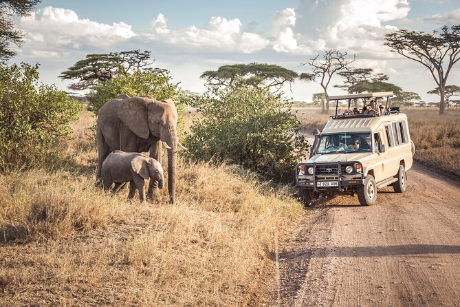 6- Day Adventure Lodge Safari to See Migration - Pricing and Booking Details