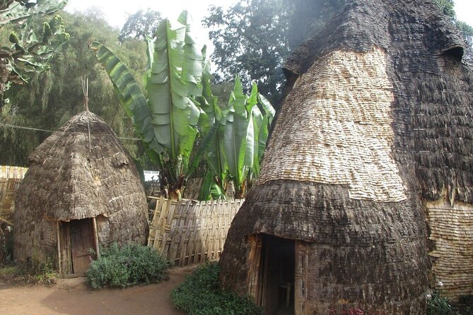 6 Day Omo Valleytours - Cancellation Policy