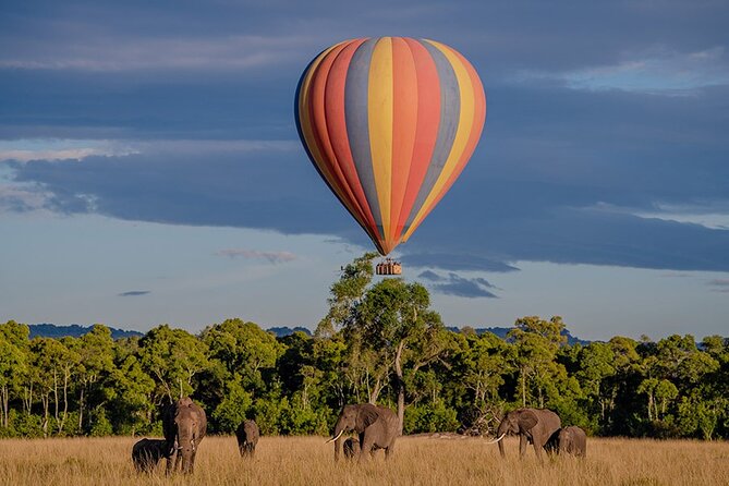 6-Day Samburu, Lake Nakuru, and Masai Mara Safari - Reviews and Ratings