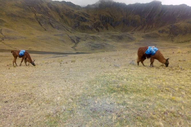 6-Day Tour of the Cusco of the Incas With Pick-Up - Booking Details