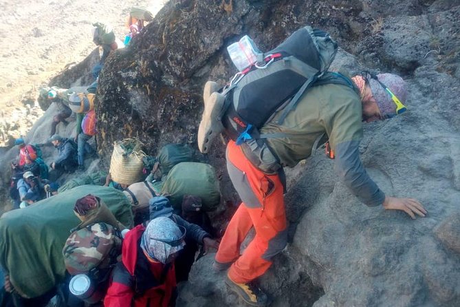 6 Days Climb Kilimanjaro Through Marangu Route - Accessibility and Participation