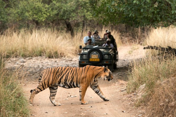 6 Days Golden Triangle Tour With Ranthambore: Delhi Agra Jaipur Ranthambore Tour - Booking and Pricing Details