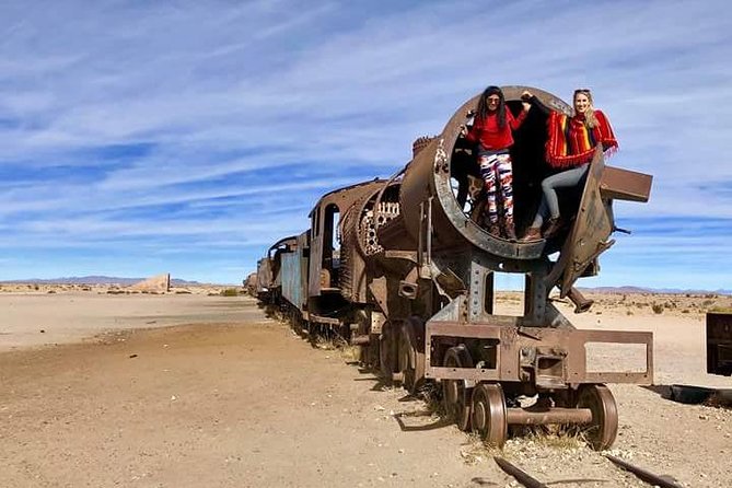 6 Days Private Best of Bolivia Tour From La Paz With Flights VIP - Accessibility and Dietary Options