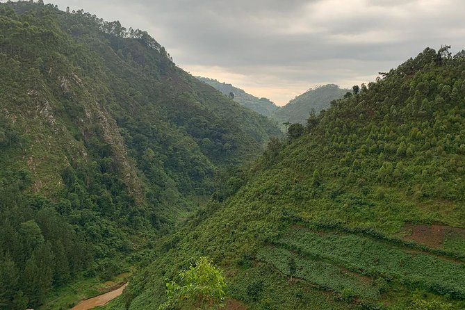 6 Days Rwanda Uganda Budget Wildlife Safari - Pickup and Transportation