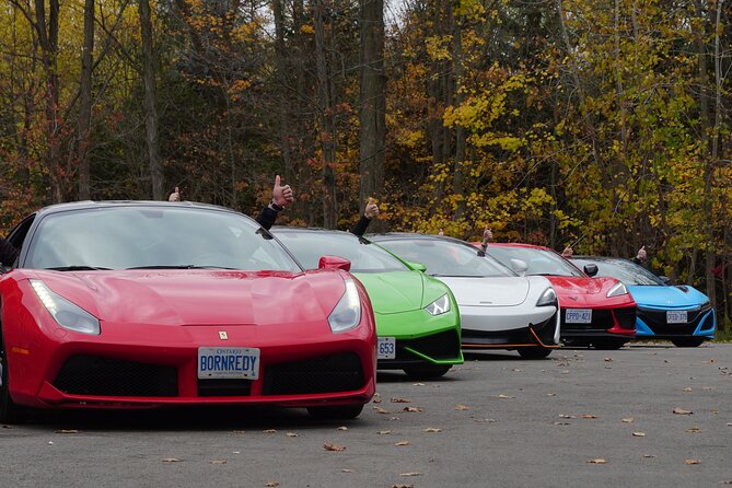 6 Hour Exotic Car Tour Driving 6 Super Cars + Lunch - Reviews and Ratings